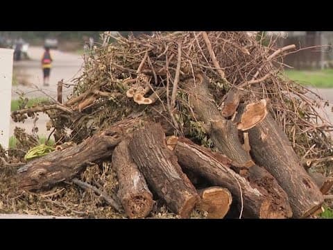 City of Houston's debris pickup tracker runs into hiccups