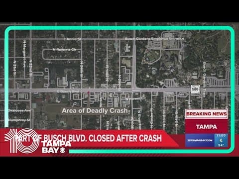 TPD: At least one person killed after Tampa car crash results in multiple downed powerlines