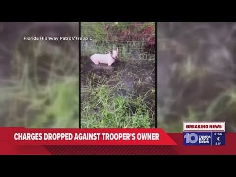 Charges dropped against man who was accused of leaving dog tied to fence on I-75 during Hurricane Mi