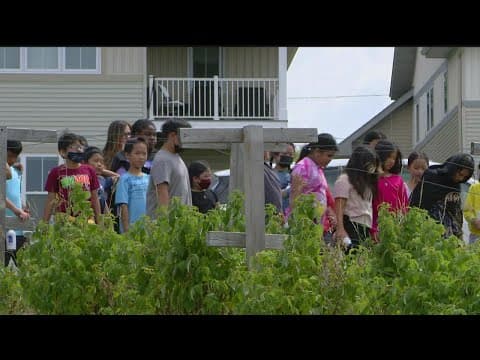 Urban roots garden for children