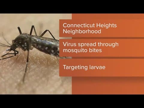 West Nile virus samples found in Connecticut Heights neighborhood