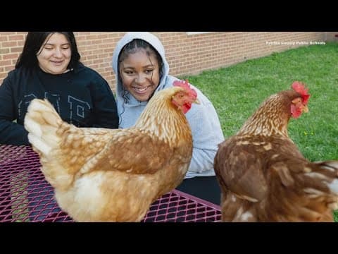Health project turns into life lessons at local middle school | The Night Cap