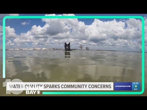 Here's why people and pups should check Davis Islands water quality before hopping in