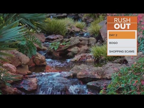 Fort Worth Botanic Garden celebrating 90th birthday with deal