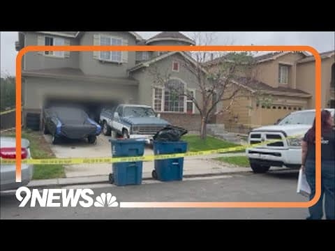 Couple arrested after animals, children found living in 'squalor'