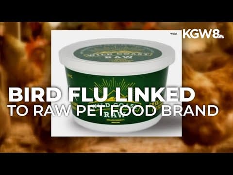 Cats euthanized in Multnomah County after contracting bird flu linked to raw pet food