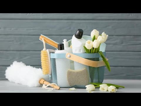 Spring cleaning tips from You've Got Maids of Northern Virginia