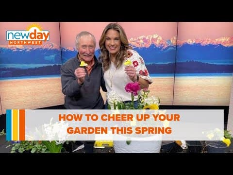 Pot an early spring container to cheer up your garden - New Day NW