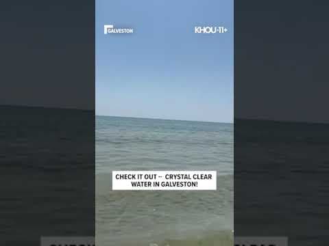 Check it out -- crystal clear water in Galveston