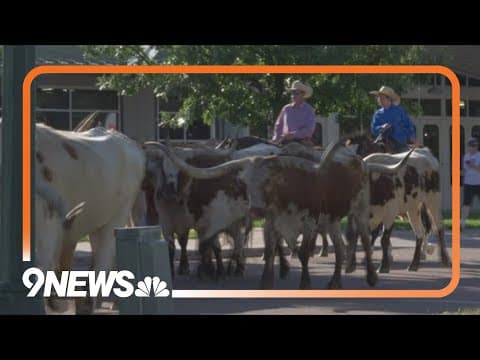 103rd Greeley Stampede starts on Wednesday