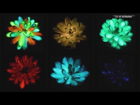 Scientists create glow-in-the-dark plants