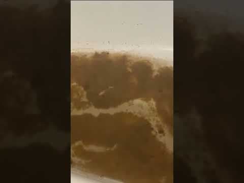 Residents of Sea Breeze Gardens Apartments say it’s making them sick.