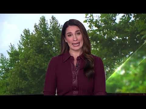 Gun goes off from inside third grader's backpack, police say