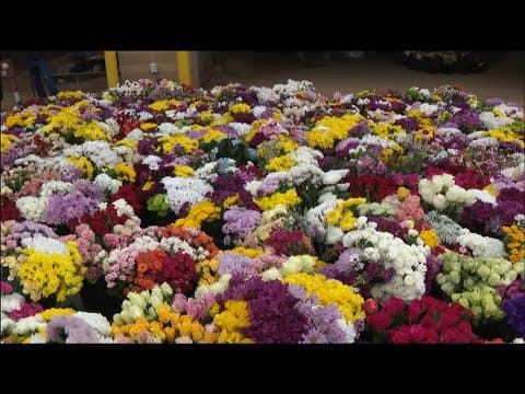 Memorial Day events blossom in the DC area