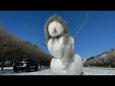 Drone video shows City Park covered in snow
