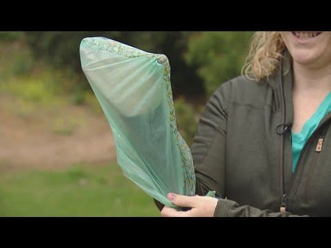 New campaign urges pet owners to help 'Keep San Diego Doody Free'