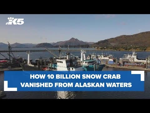 Preview: How 10 billion snow crab vanished from Alaskan waters