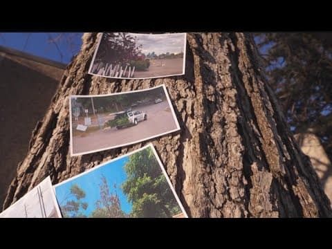 Mpls offers trees through lottery program