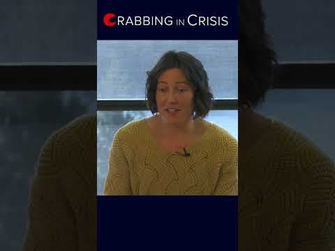 How 10 billion snow crabs vanished from Alaskan waters and what it means for the seafood industry