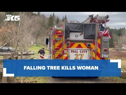 Falling tree kills woman