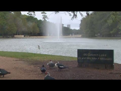 Body found in McGovern Lake at Houston's Hermann Park