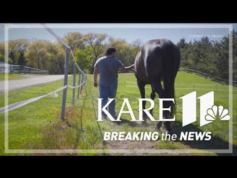 Retired Canterbury thoroughbreds provide mental health support for racing industry and beyond