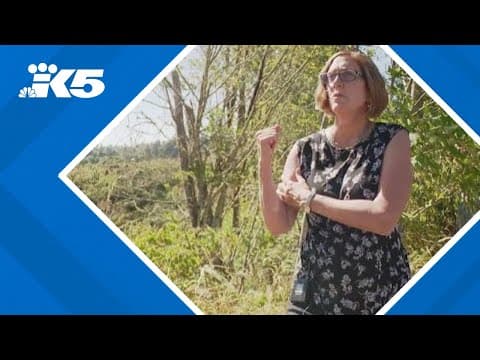 Cathcart residents sue to halt vast Eastview Village project