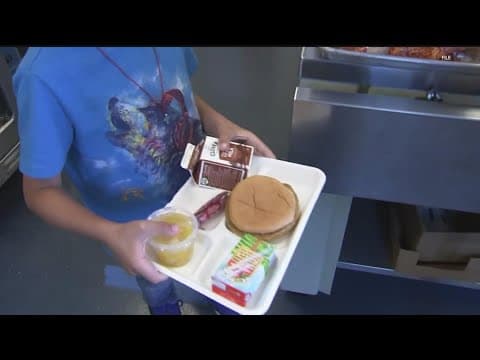Minnesota House passes 'universal free school lunch' bill