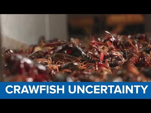 Arctic freeze expected to reduce crawfish numbers