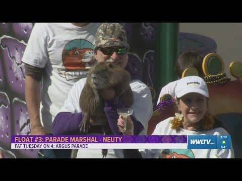 Neuty Gras! Local star nutria rolls in Krewe of Argus