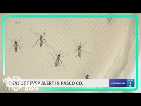 Pasco County officials warning residents of dengue fever