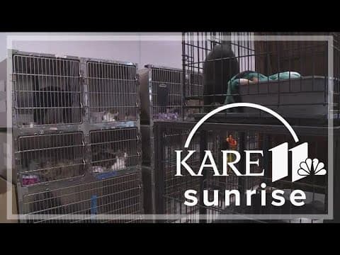 Fridley police investigate animal maltreatment claims at rescue