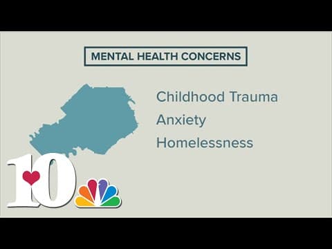 KCHD releases Knox County mental health report