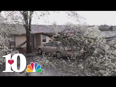 Woman injured by falling tree in Alcoa