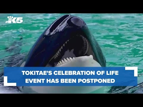 Tokitae celebration of life postponed
