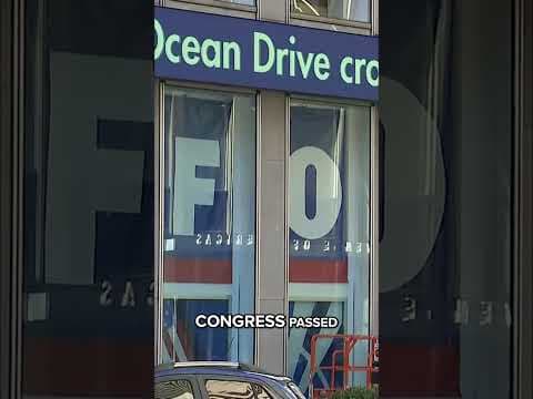 Who did President Trump say could buy TikTok?!