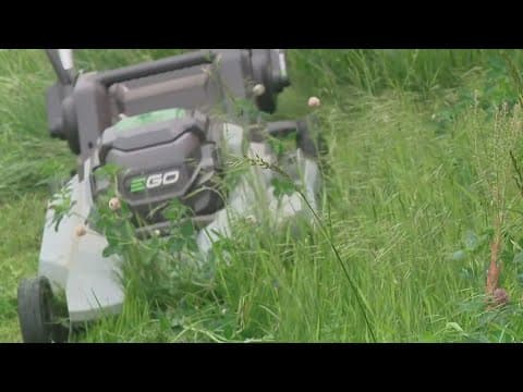 Homeowners in north Columbus facing fines for not maintaining grass along shared-use path