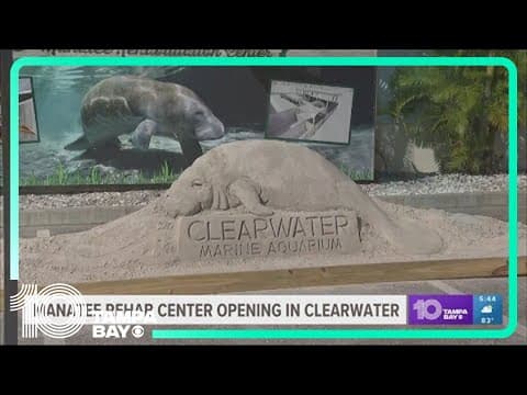 Manatee Rehabilitation Center to open in Clearwater