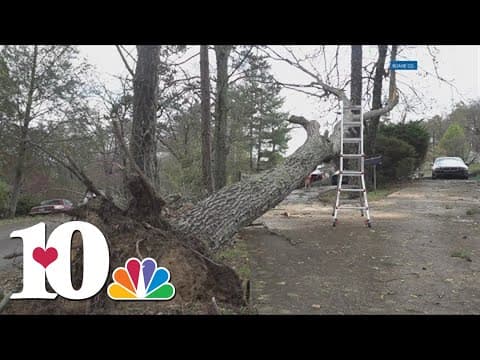 Rockwood hit with severe storm damage