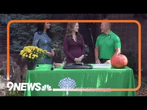 Here's how to winterize sprinklers, irrigation systems as temperatures fall