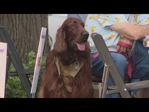 'Indy Hair Ball' raises money for Pet Friendly Services of Indiana