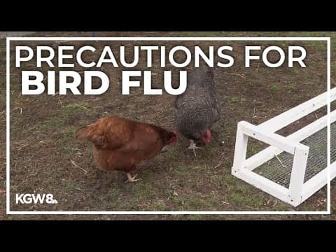 Here's how to keep yourself and pets safe from the bird flu