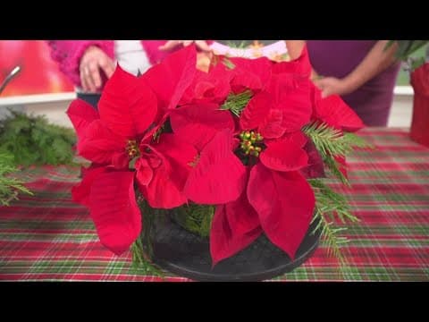 Make your own Christmas Floral Centerpiece