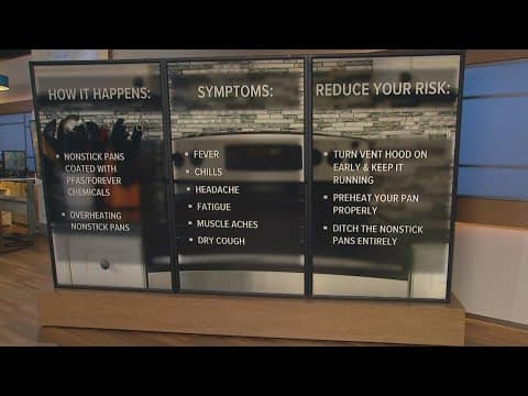 'Teflon Flu' linked to chemical coating on some popular nonstick pans