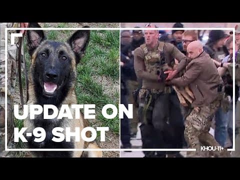 Update on heroic K-9 shot by deputy's killer in Houston