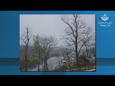 WUSA9 wants your winter weather photos