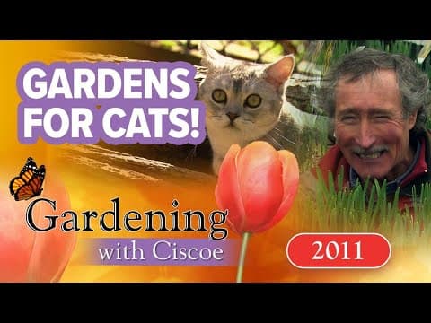 Make your garden feline-friendly | Gardening with Ciscoe | Full episode