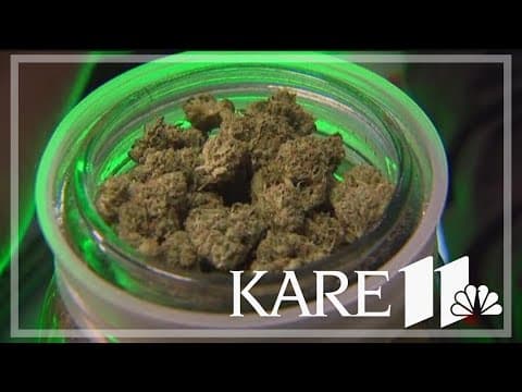 MN Supreme Court: Smell of marijuana alone does not justify search