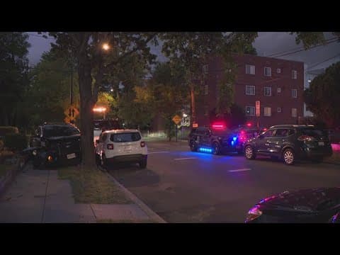 Police chase ended in a car crash in Southeast