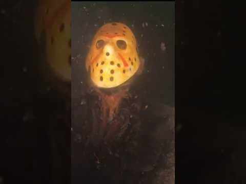 Dive deep enough and you’ll come face-to-face with “Friday the 13th” villain Jason Voorhees 👀